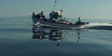 'Rabo de Peixe' nos transformou em parte do Olhar de Cinema