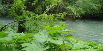 "O outro lado do rio", crônica de Paulo Camargo