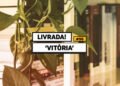 Livrada – Ep. #96: 'Vitória', de Joseph Conrad