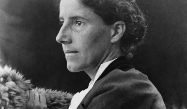 charlotte perkins gilman o papel de parede amarelo