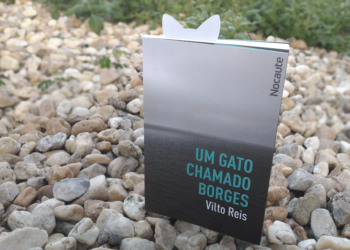 'Um Gato Chamado Borges': os homens revoltados de Vilto Reis