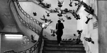 Foto de Henri Cartier-Bresson de uma escadaria de um hotel