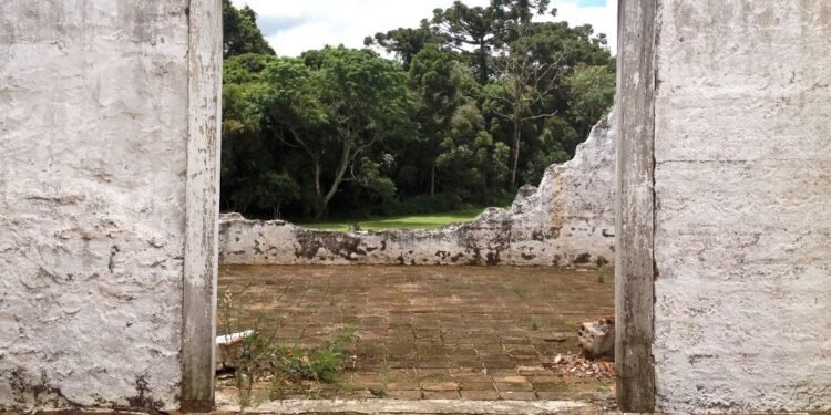 ‘Infinitos Campos Gerais’: projeto une patrimônio e contemporaneidade