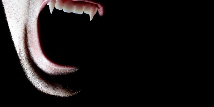 Vampiro - Helena Perdiz