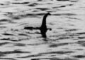 Foto do monstro do Lago Ness mostra que o jornalismo também abre espaço para a ficção de horror