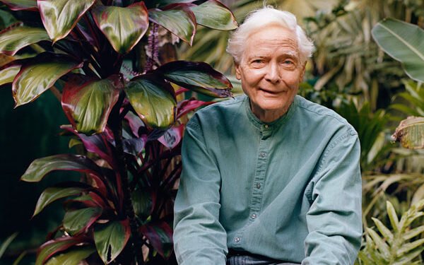 W. S. Merwin: estética e ética em poesia