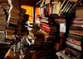"Todos os livros da face da Terra", crônica de Henrique Fendrich.