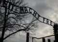 Auschwitz Primo Levi
