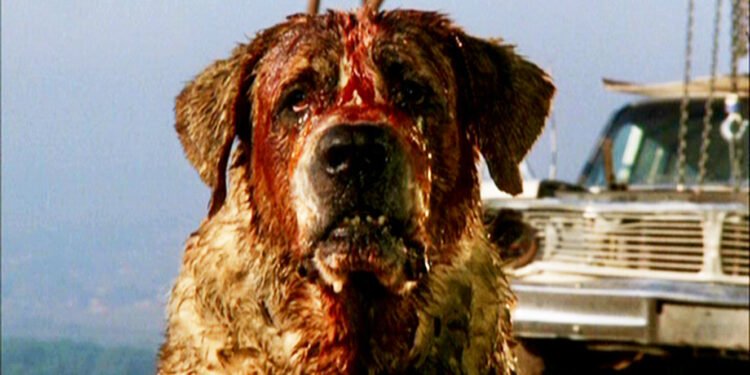 Cena de 'Cujo'. Imagem: Divulgação.