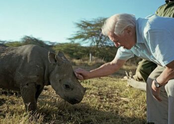 David Attenborough Africa BBC