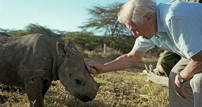David Attenborough Africa BBC