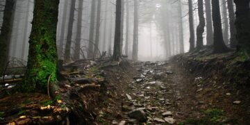 "O ruído do silêncio", crônica de Paulo Camargo.