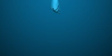 Imagem: Reprodução.