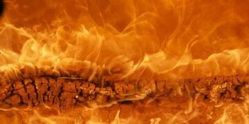 Imagem: Reprodução.