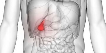 Imagem: Reprodução.