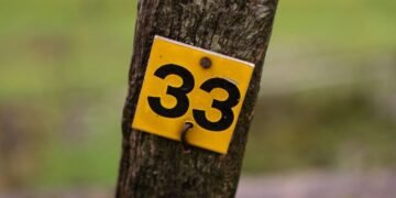 Imagem: Reprodução.