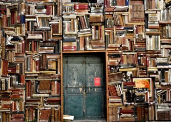 Uma biblioteca sexy, por Yuri Al'Hanati