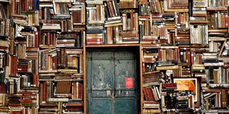 Uma biblioteca sexy, por Yuri Al'Hanati