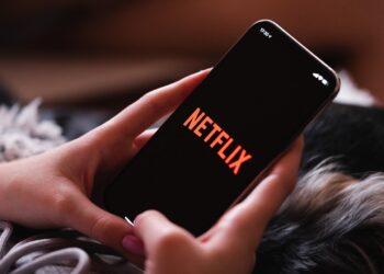 Netflix: confira o que chega ao catálogo em agosto