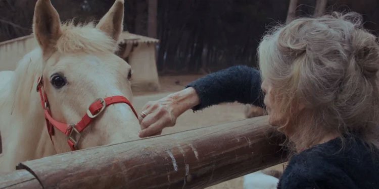 No documentário de Alain Berliner e Elora Thevenet, Brigitte Bardot aparece de costas, em sua fazenda. Imagem: Timpel Pictures / Divulgação.